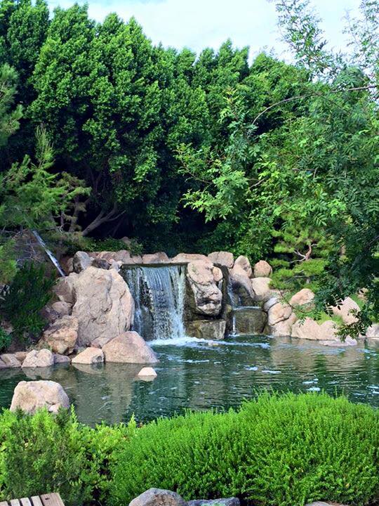 Japanese Friendship Garden