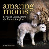 Book-AmazingMoms