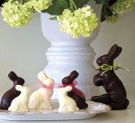 bunnies-WP