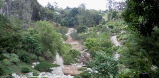 Balboa Park Friendship Garden