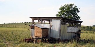 Arizona Sciece Center Chew on This Fresh the movie