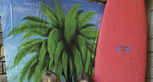 Deena Hardin, Beach Party Theme, Pool Party, Party Decorations, Arizona, photo booths