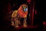 ZooLights12