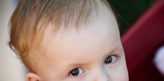 PCh Kinsley Pelletier mitcochondrial Phoenix