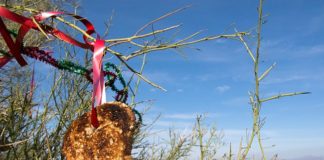 Christmas tree edible wildlife