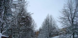 Finnish Schools, school reform