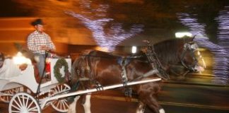 Glendale Glitters holiday events and light display.