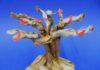 Winter tree craft at the Children's Museum of Phoenix