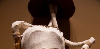 Arizona Science Museum Da Vinci Phoenix