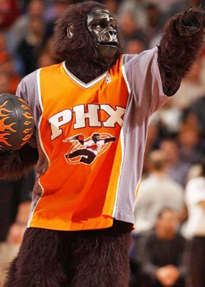 Phoenix-Suns-Gorilla
