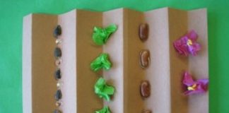 springtime collage craft at the Children's Museum of Phoenix