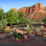 red-agave-az-wonders