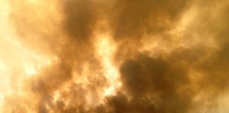 Yarnel 19 education fund