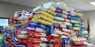 Baby Diaper Drive, Arizona
