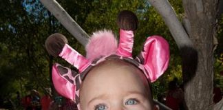 Boo! at the Zoo Phoenix