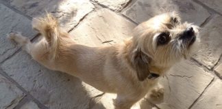 learning at home measurment