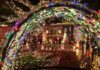 holiday lights 2013