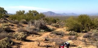 McDowell Mountain Conservancy Brown's Ranch