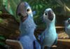 “Rio 2”: It’s not easy being Blu