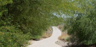 Skunk Creek Linear Park Glendale