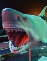 AZSci-NatGeo_featured