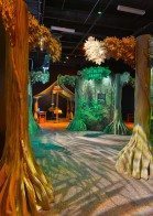 AZSci-NatGeo_rainforest