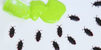 Halloween craft, spooky slime, make slime, crafts with kids, PagingSupermom.com