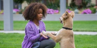 5 Things to Know About the New Annie Film