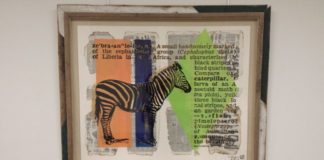 Rancho Solano Scottsdale schools