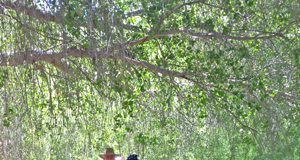 family camping Arizona, Arizona State Parks