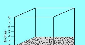 AzMERIT, 5th grade, sample test