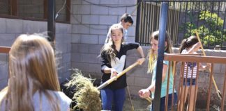 Desert Garden Montessori