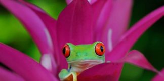 family-friendly exhibits April