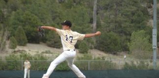 safe pitching practices, overuse injuries, prepubertal pitching injuries, little league injuries, youth athletes pitch