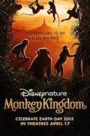 monkeykingdom