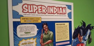 5 summer activities at the Heard Museum