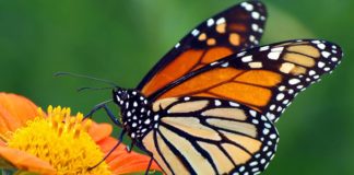 September events for grown-ups