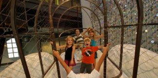 family-friendly ball