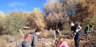 Conservation Workdays