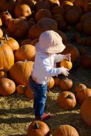 Desert Botanical Garden pumpkins