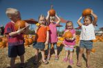 Great Pumpkin Festival DBG