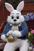 easter-bunny-basket