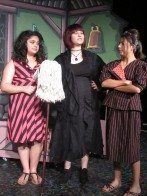 Spotlight – Cinderella 1668