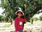 AppleAnnies-Facebook