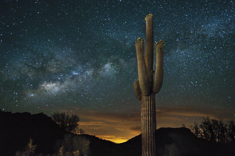 SaguaroCactusMilkyWay
