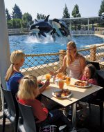 Family-Dining-next-to-Shamu–Courtesy-SeaWorld