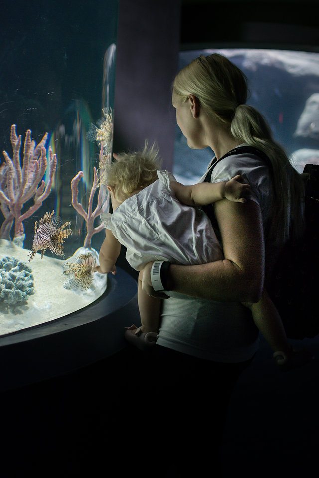 Visitors to the new OdySea Aquarium found plenty to explore.