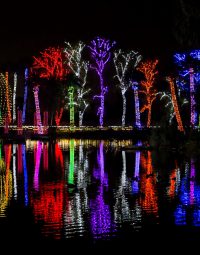 phoenix-zoo-zoolights-2016