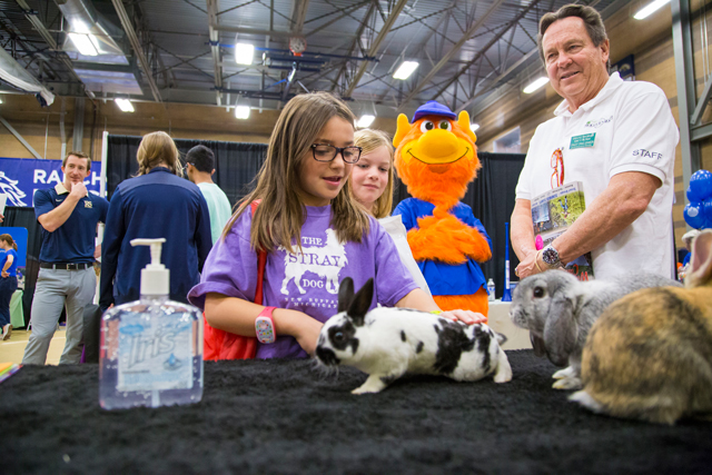 Crazzy's Wasewagan Camp & Retreat, Camp Fair AZ, Scottsdale, Arizona, Raising Arizona Kids, RAK magazine, overnight camp, #CampFairAZ