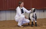 girl-goat